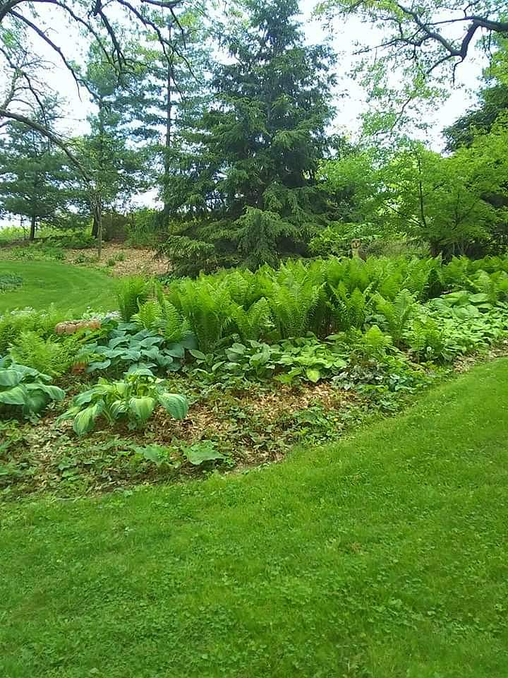 Photo by Ron Burt DJ